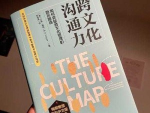 经理让我陪两个外国人先说是啥书，该书可能是关于商务礼仪或跨文化交流的实用指南