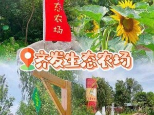 我的梦幻农场：乐趣无穷，生态探险体验的新天地