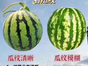 51cg10 今日大瓜：超火的商品，你值得拥有