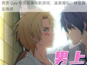 男男 Gay 做受高潮电影游戏：逼真模拟，体验真实情感