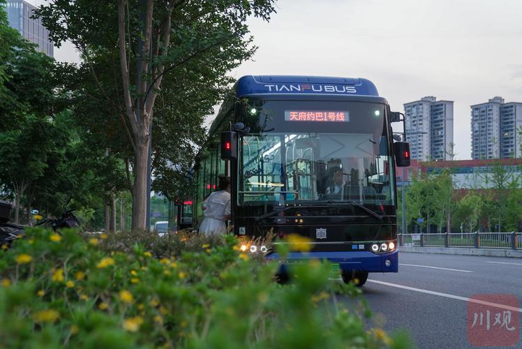 公交车一路被 C的是什么样的车？带你了解一下