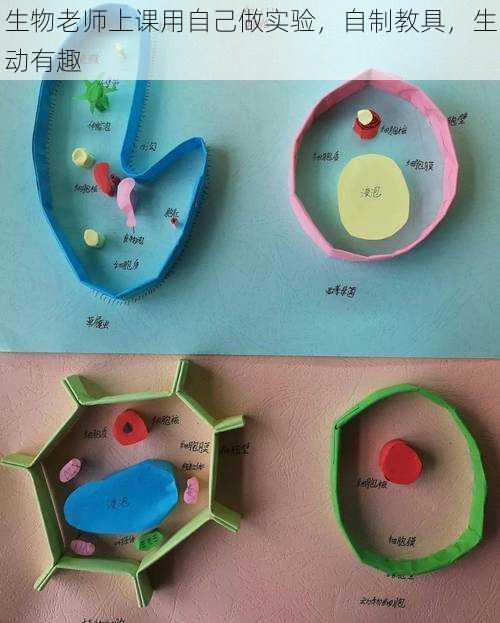 生物老师上课用自己做实验，自制教具，生动有趣