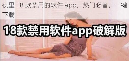 夜里 18 款禁用的软件 app，热门必备，一键下载