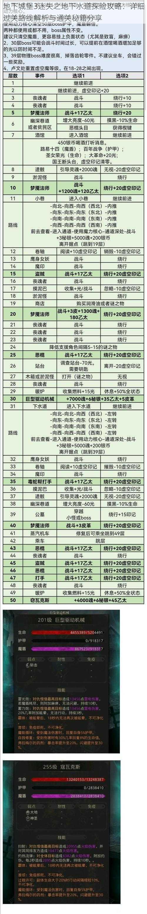 地下城堡3迷失之地下水道探险攻略：详细过关路线解析与通关秘籍分享