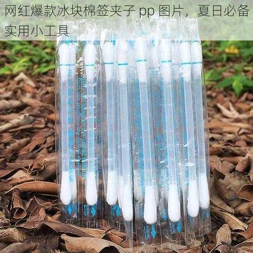 网红爆款冰块棉签夹子 pp 图片，夏日必备实用小工具