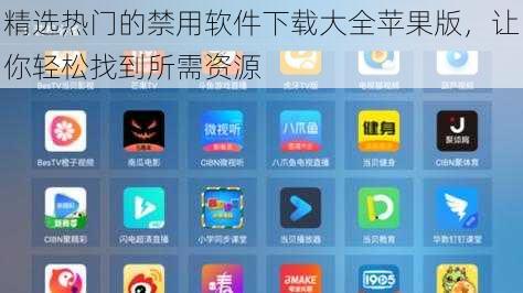 精选热门的禁用软件下载大全苹果版，让你轻松找到所需资源
