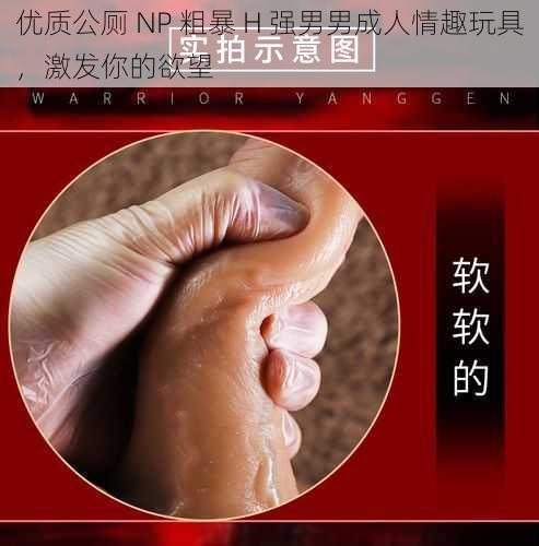 优质公厕 NP 粗暴 H 强男男成人情趣玩具，激发你的欲望