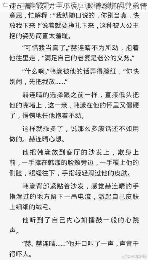 车速超高的双男主小说，激情燃烧的兄弟情