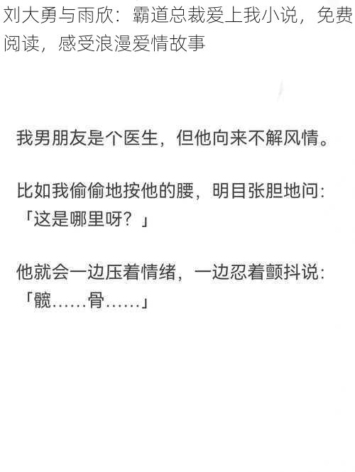 刘大勇与雨欣：霸道总裁爱上我小说，免费阅读，感受浪漫爱情故事