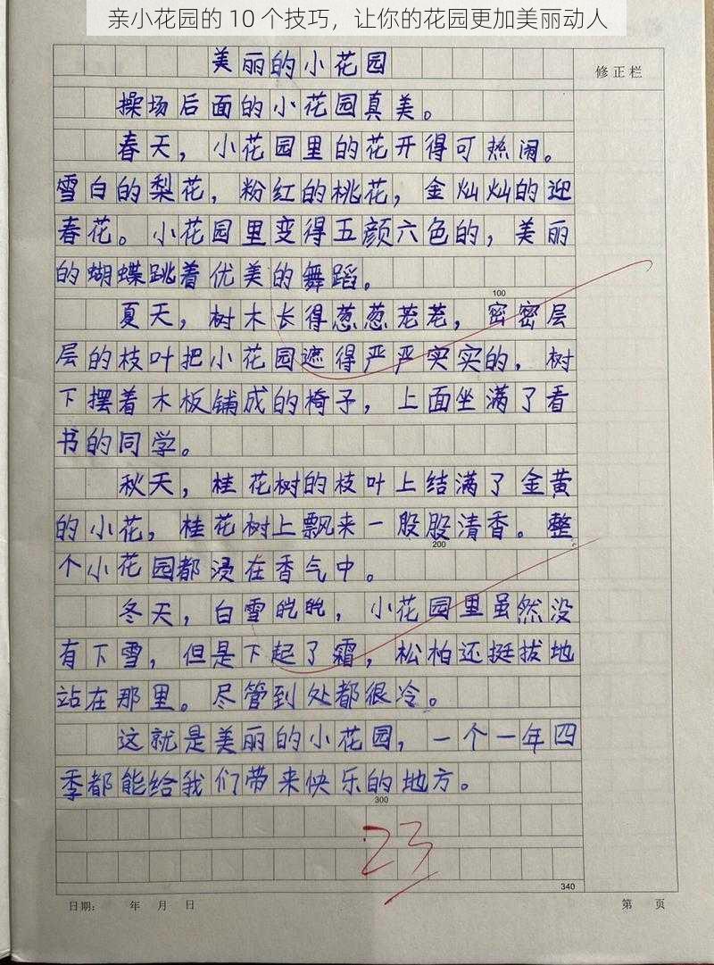 亲小花园的 10 个技巧，让你的花园更加美丽动人