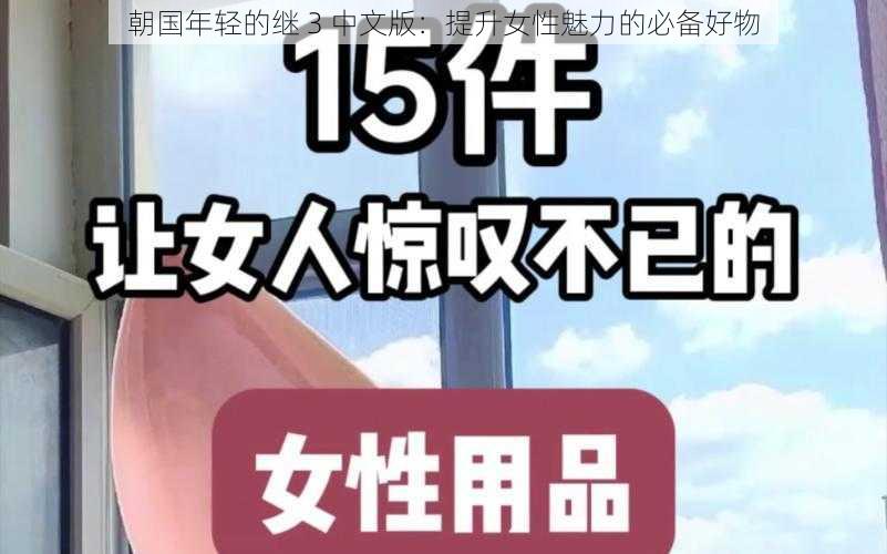 朝国年轻的继 3 中文版：提升女性魅力的必备好物