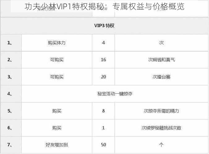 功夫少林VIP1特权揭秘：专属权益与价格概览