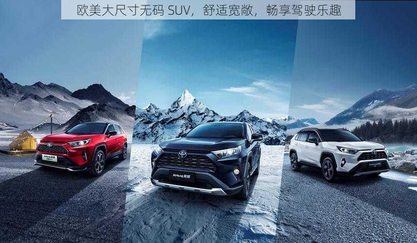 欧美大尺寸无码 SUV，舒适宽敞，畅享驾驶乐趣