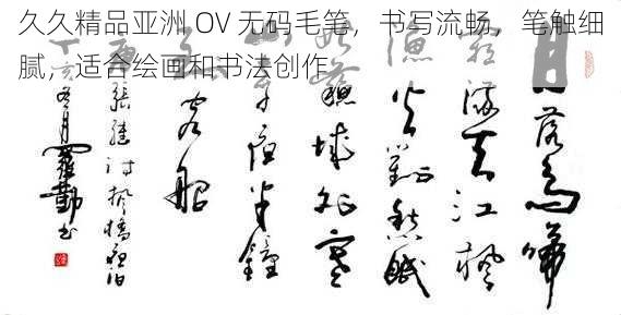 久久精品亚洲 OV 无码毛笔，书写流畅，笔触细腻，适合绘画和书法创作