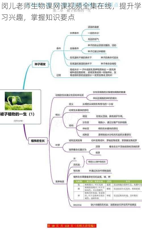 闵儿老师生物课网课视频全集在线，提升学习兴趣，掌握知识要点