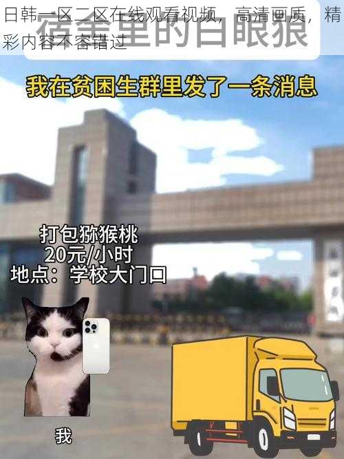 日韩一区二区在线观看视频，高清画质，精彩内容不容错过