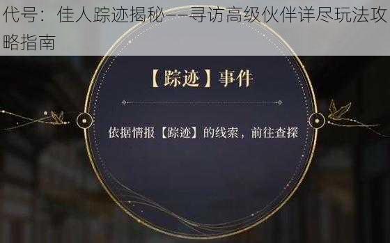 代号：佳人踪迹揭秘——寻访高级伙伴详尽玩法攻略指南