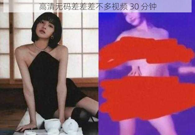 高清无码差差差不多视频 30 分钟