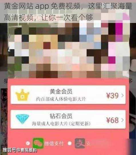 黄金网站 app 免费视频，这里汇聚海量高清视频，让你一次看个够