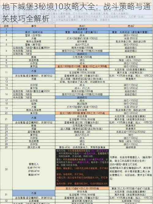 地下城堡3秘境10攻略大全：战斗策略与通关技巧全解析