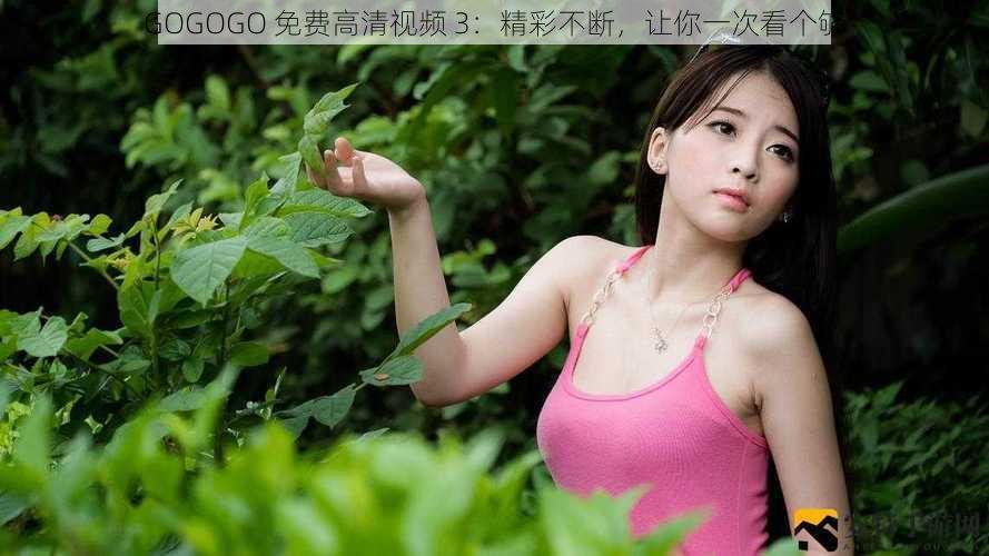 GOGOGO 免费高清视频 3：精彩不断，让你一次看个够