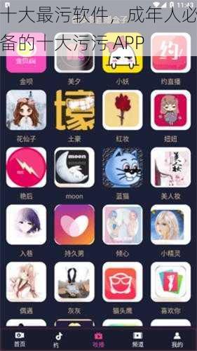 十大最污软件，成年人必备的十大污污 APP