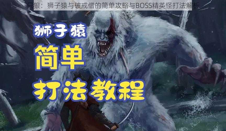 只狼：狮子猿与破戒僧的简单攻略与BOSS精英怪打法解析