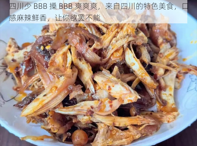 四川少 BBB 搡 BBB 爽爽爽，来自四川的特色美食，口感麻辣鲜香，让你欲罢不能