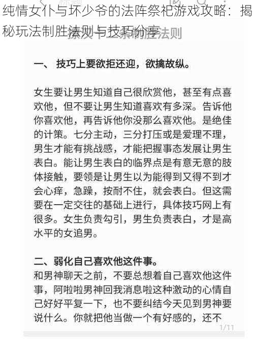 纯情女仆与坏少爷的法阵祭祀游戏攻略：揭秘玩法制胜法则与技巧分享