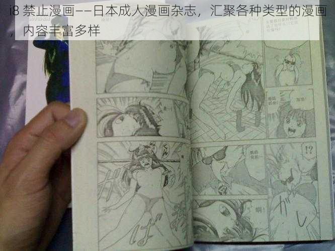 i8 禁止漫画——日本成人漫画杂志，汇聚各种类型的漫画，内容丰富多样