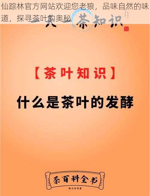 仙踪林官方网站欢迎您老狼，品味自然的味道，探寻茶叶的奥秘