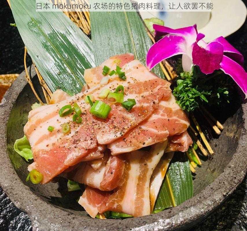 日本 mokumoku 农场的特色猪肉料理，让人欲罢不能