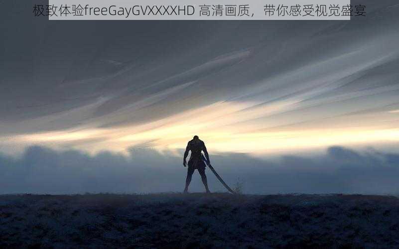 极致体验freeGayGVXXXXHD 高清画质，带你感受视觉盛宴