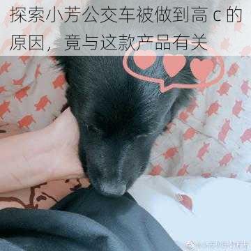 探索小芳公交车被做到高 c 的原因，竟与这款产品有关