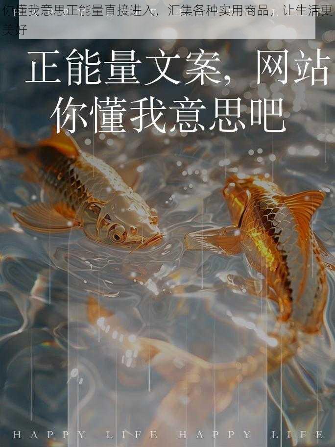 你懂我意思正能量直接进入，汇集各种实用商品，让生活更美好