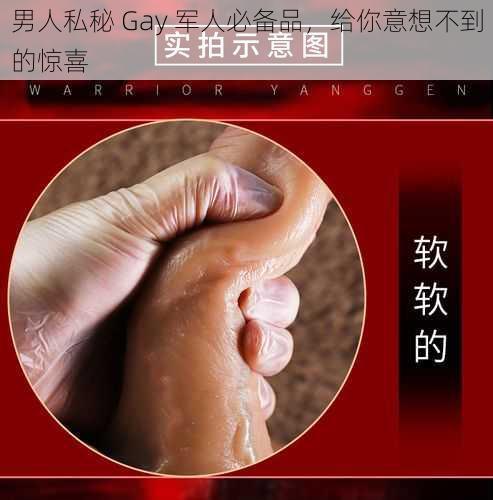 男人私秘 Gay 军人必备品，给你意想不到的惊喜