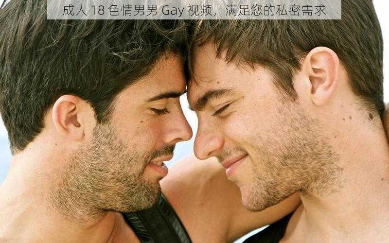 成人 18 色情男男 Gay 视频，满足您的私密需求