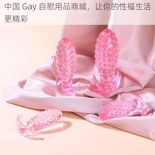 中国 Gay 自慰用品商城，让你的性福生活更精彩