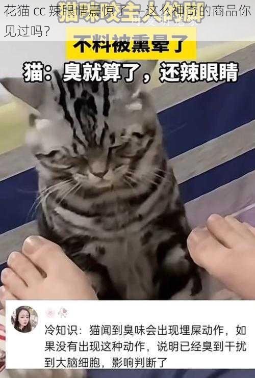 花猫 cc 辣眼睛震惊了——这么神奇的商品你见过吗？