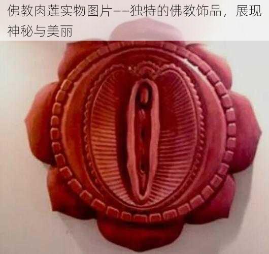 佛教肉莲实物图片——独特的佛教饰品，展现神秘与美丽