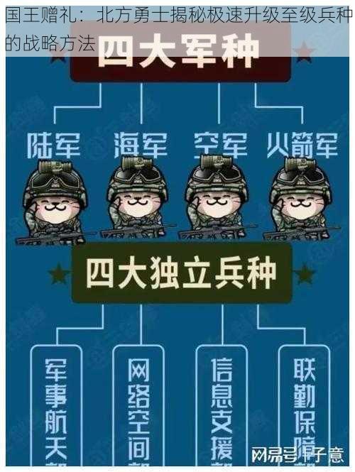 国王赠礼：北方勇士揭秘极速升级至级兵种的战略方法