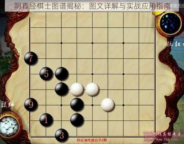 阴真经棋士图谱揭秘：图文详解与实战应用指南