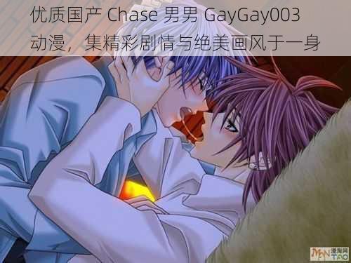 优质国产 Chase 男男 GayGay003 动漫，集精彩剧情与绝美画风于一身