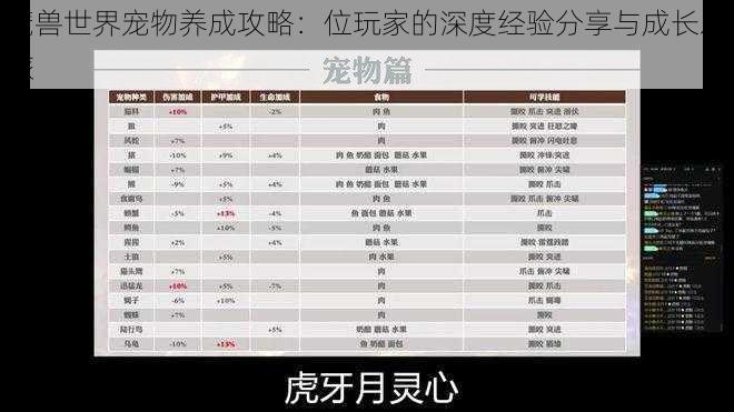 魔兽世界宠物养成攻略：位玩家的深度经验分享与成长之旅