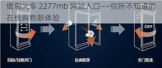 缅甸火车 2277mb 网站入口——你所不知道的在线购物新体验