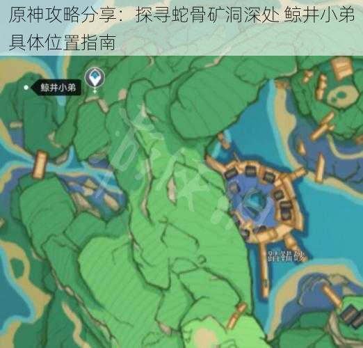 原神攻略分享：探寻蛇骨矿洞深处 鲸井小弟具体位置指南