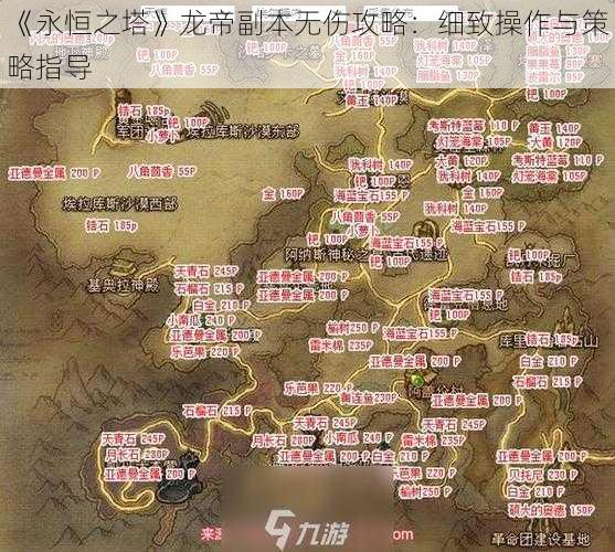 《永恒之塔》龙帝副本无伤攻略：细致操作与策略指导