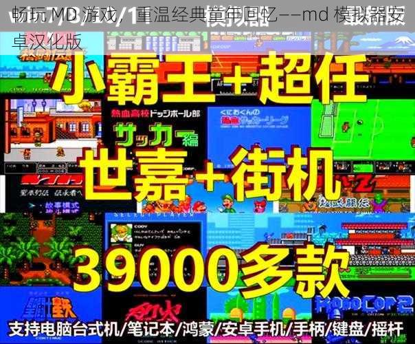 畅玩 MD 游戏，重温经典童年回忆——md 模拟器安卓汉化版