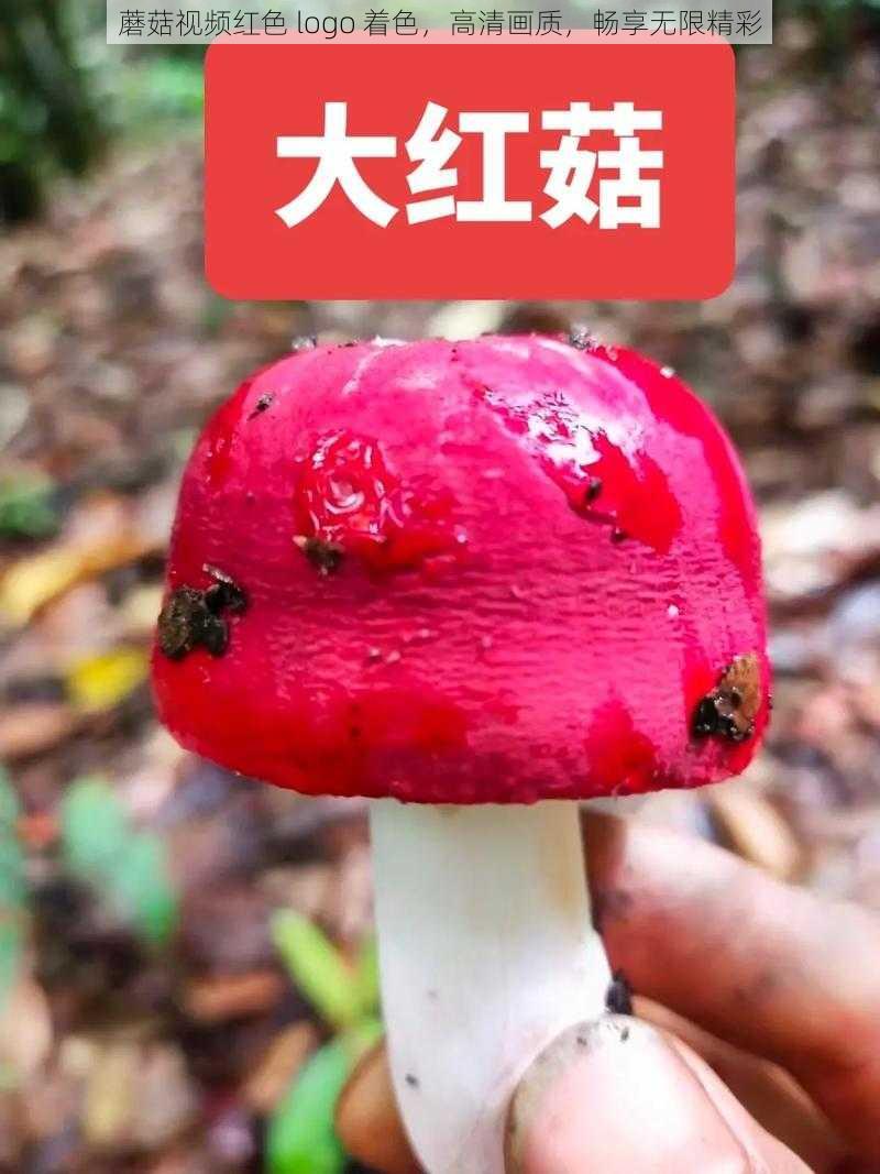 蘑菇视频红色 logo 着色，高清画质，畅享无限精彩