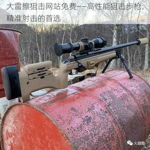 大雷擦狙击网站免费——高性能狙击步枪，精准射击的首选